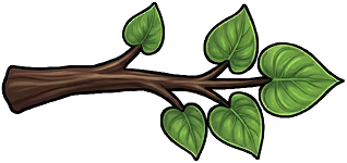 Sapwood