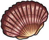 Tidal Clam