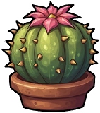 Cactus
