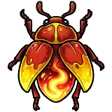 Lanternbug