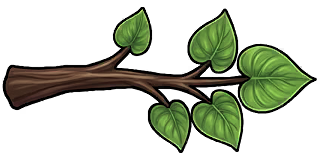 Sapwood
