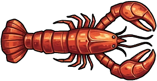 Regular Old Lobster