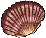 Tidal Clam