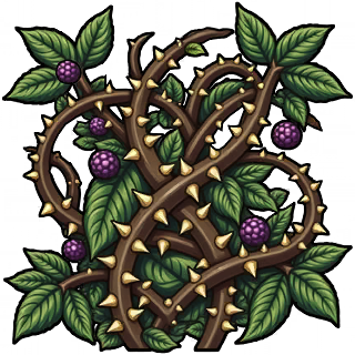 Bramblethorn Thicket