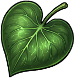 Heartleaf