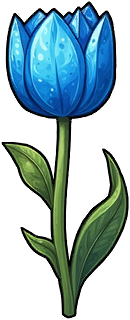 Tulip