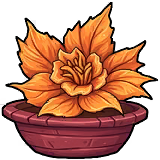 Dragonflower