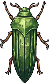 Emerald Scarab