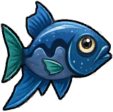 Guppy