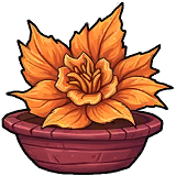 Dragonflower