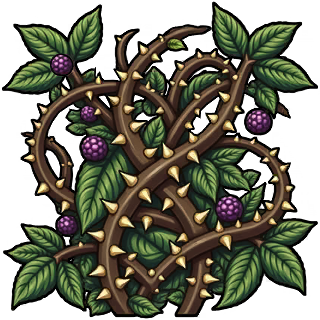 Bramblethorn Thicket