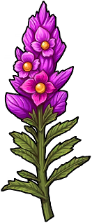 Snapdragon