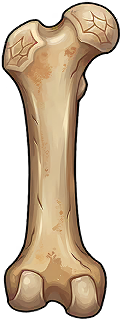 Dragon Bone