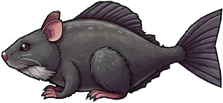 River Rat