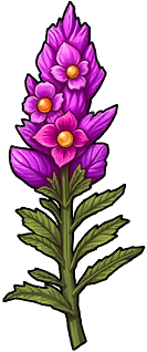 Snapdragon