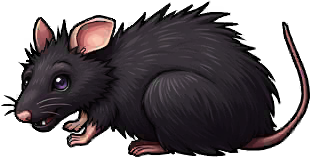 Muck Rat