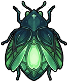 Lanternbug