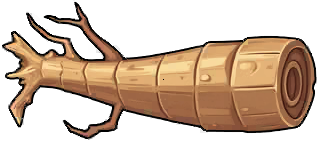 Ginseng Root