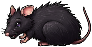 Muck Rat