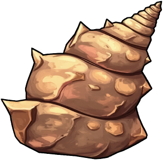 Whispering Conch